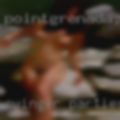 Swinger parties Janesville